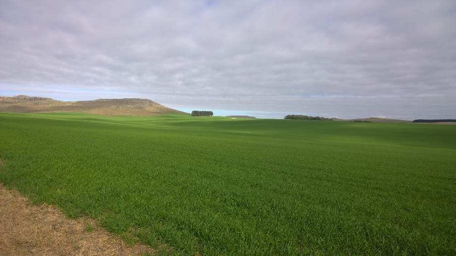 agricultura de precisión