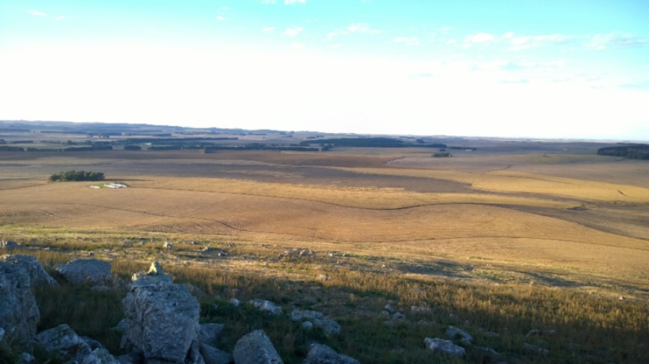 agricultura de precisión